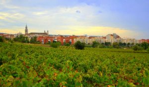 vilafranca del penedes vinyes de bon mat143182